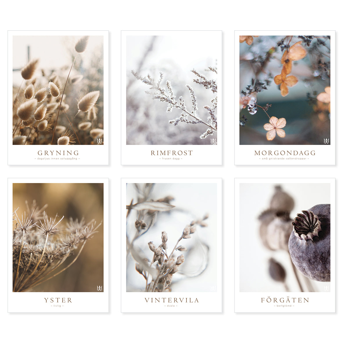 Posters med blommotiv i pastelliga färger