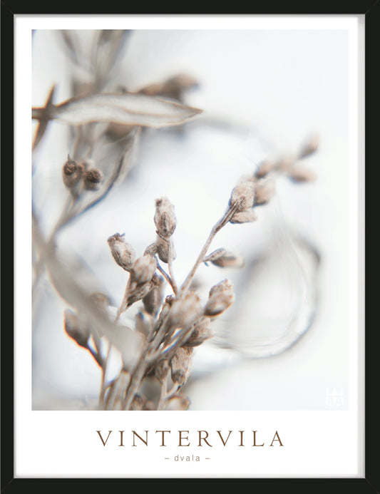 Vintervila Poster