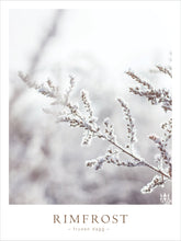 Load image into Gallery viewer, Poster med växt i rimfost, vinterlandskap
