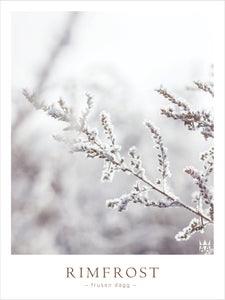 Vinterlandskap poster med snö och frost