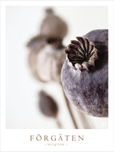 Ladda upp bild till gallerivisning, Vintervila Poster
