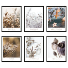 Load image into Gallery viewer, Posters till tavelvägg, naturmotiv och blommor
