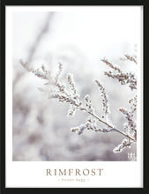 Load image into Gallery viewer, Rimfrost foto poster med snö och växt
